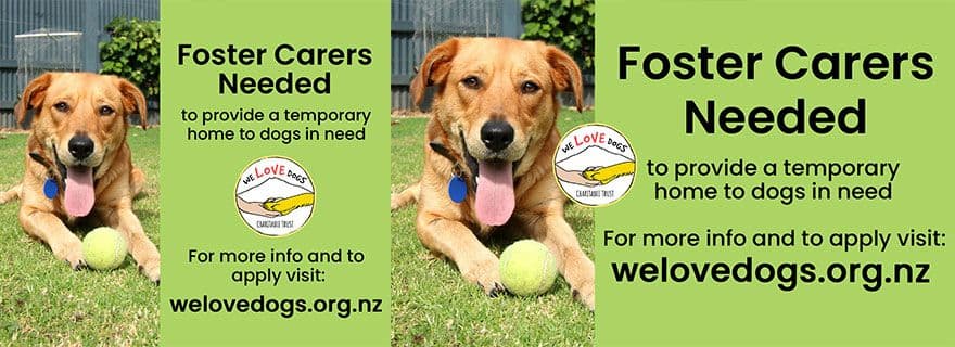 We Love Dogs Charitable Trust ad creative